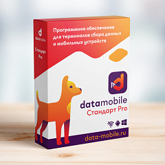 ПО DataMobile, версия Стандарт Pro в Калининграде